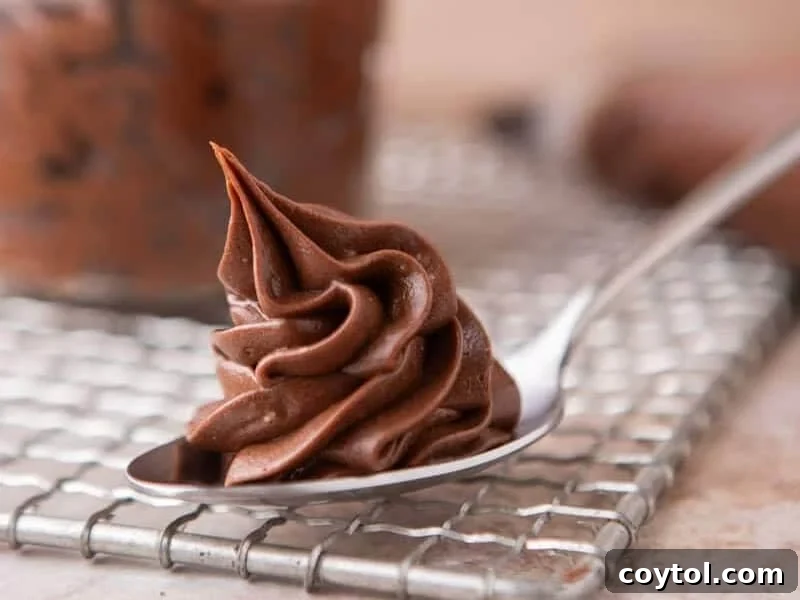 Chocolate cream cheese frosting swirled on a spoon showing the fudgy, silky texture