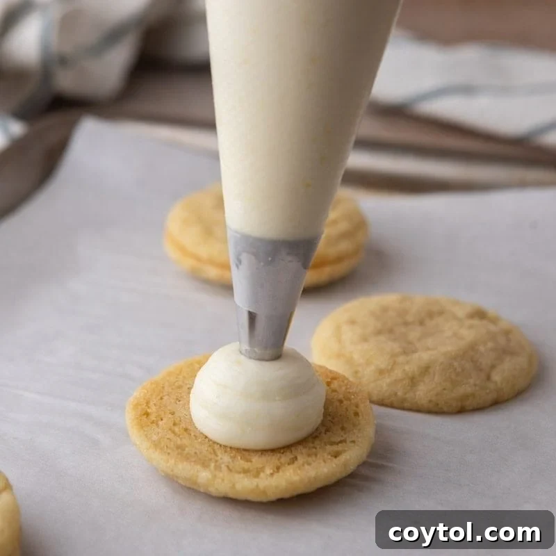 Cream cheese lemon frosting being piped onto a cooled lemon sugar cookie to make a sandwich.