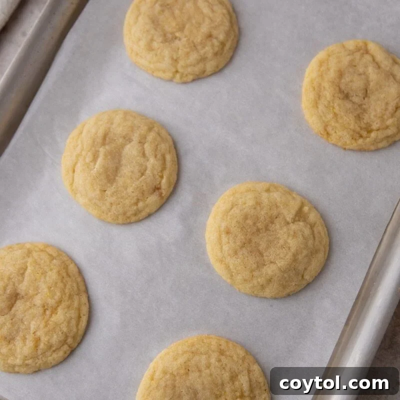  Freshly baked lemon sugar cookies cooling on a parchment-lined baking sheet.