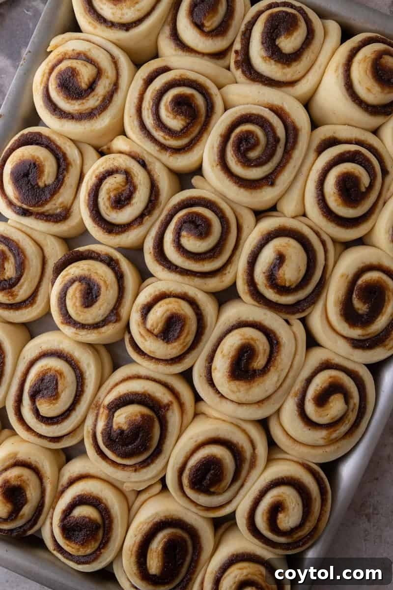 The mini cinnamon rolls are shown after proofing on the sheet pan; they are visibly puffy and have expanded to touch one another.