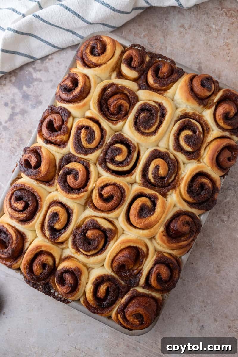 A full sheet pan of freshly baked mini cinnamon rolls, with perfectly golden tops and clearly visible cinnamon swirls.