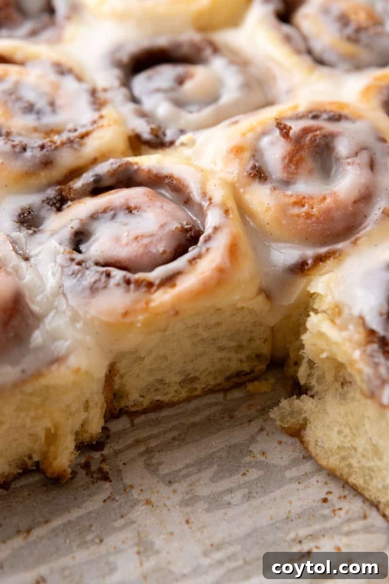 A close-up side view of a mini cinnamon roll, showcasing its soft, fluffy texture and distinct, layered swirls of cinnamon filling.