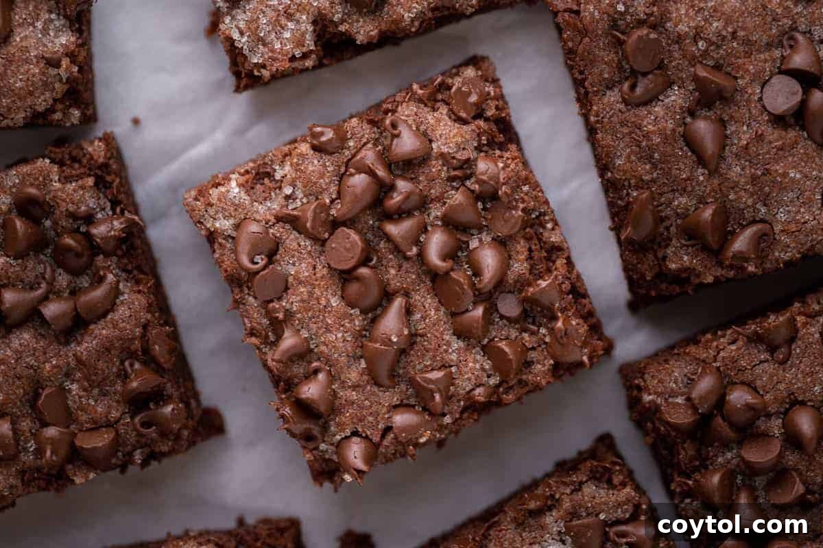 A pan of rich chocolate sugar cookie bars topped with mini chocolate chips, an easy and giftable Mother's Day dessert recipe.