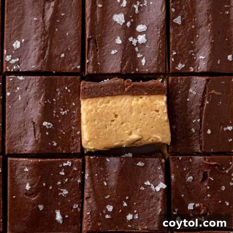 Overhead of buckeye fudge squares with one turned to show the peanut butter and chocolate layers