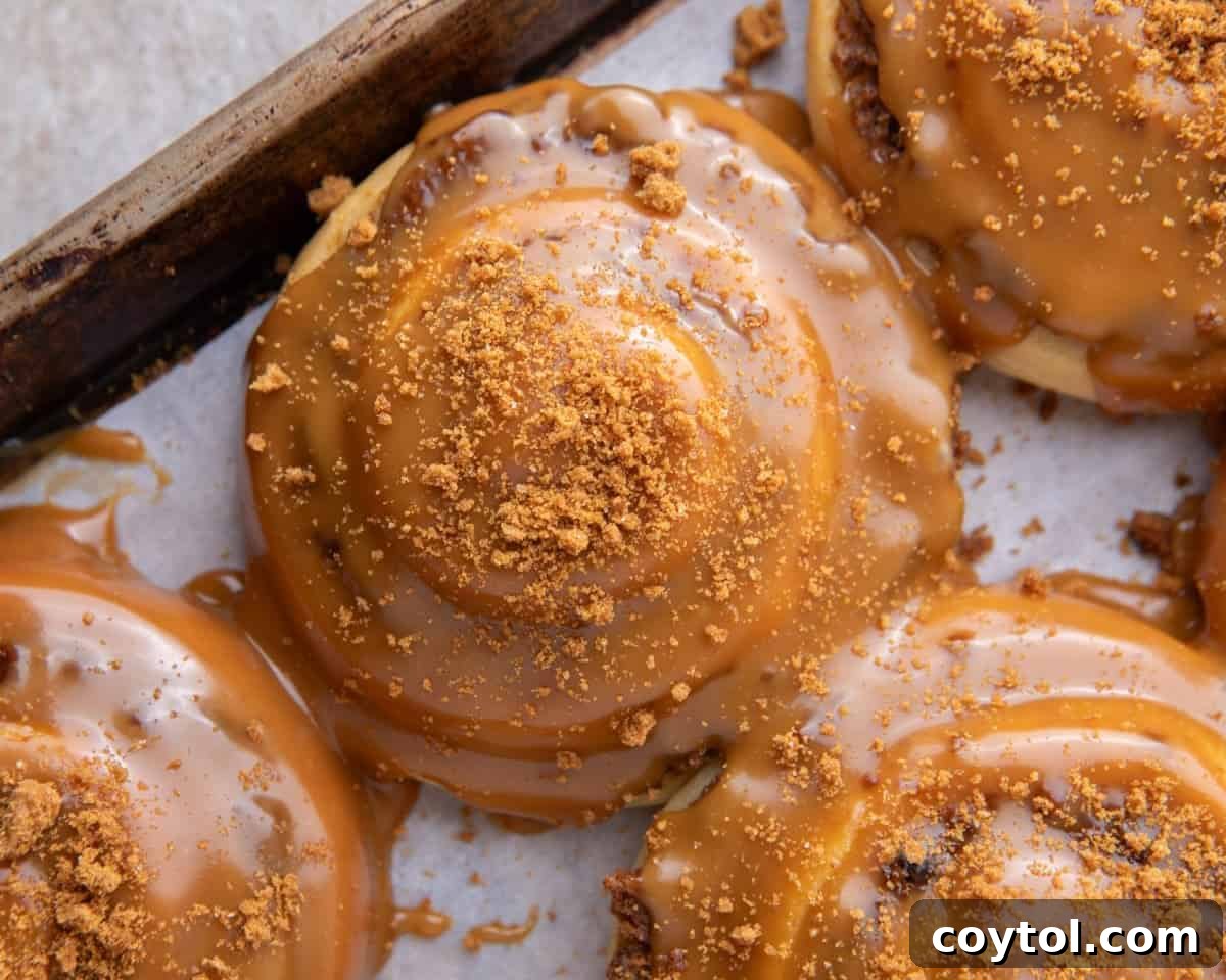 Biscoff cinnamon rolls on a sheet pan covered in molten cookie butter glaze and crushed Biscoff cookies