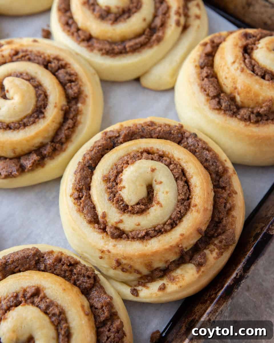 Freshly baked cookie butter cinnamon rolls with golden caramelized edges on a sheet pan