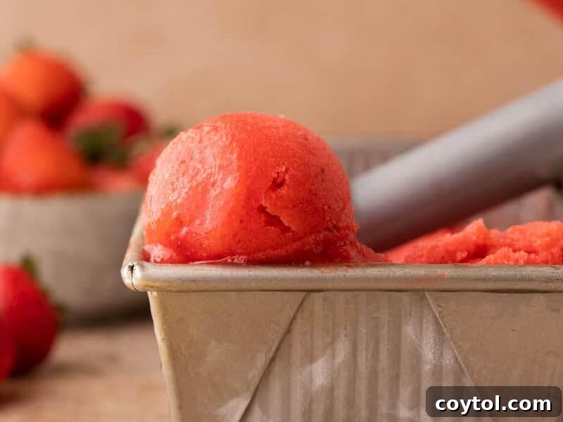 Scoop of bright red strawberry sorbet in a metal loaf pan with fresh strawberries.