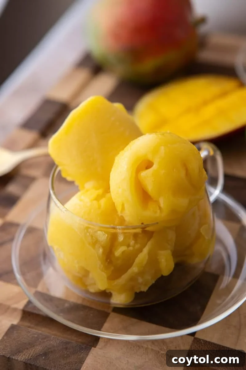 Scoops of velvety mango sorbet in a clear glass cup with fresh mango in the background