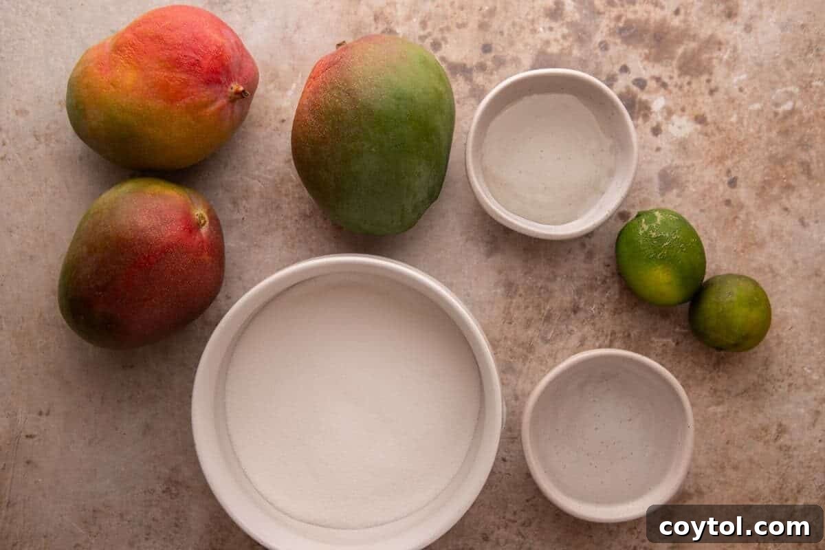 Mango sorbet ingredients: fresh mangoes, sugar, water, lime, and salt
