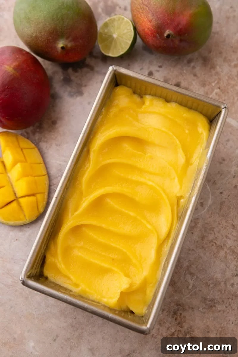 Freshly churned mango sorbet swirled into a metal loaf pan