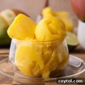 Homemade mango sorbet scoops in a glass dish with fresh mango