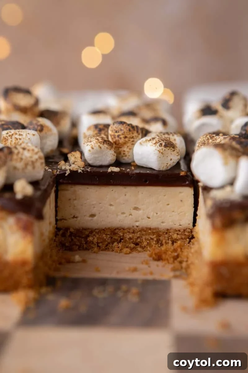 Cross-section of a s'mores cheesecake bar showing graham crust, marshmallow cheesecake, chocolate ganache, and toasted marshmallow topping