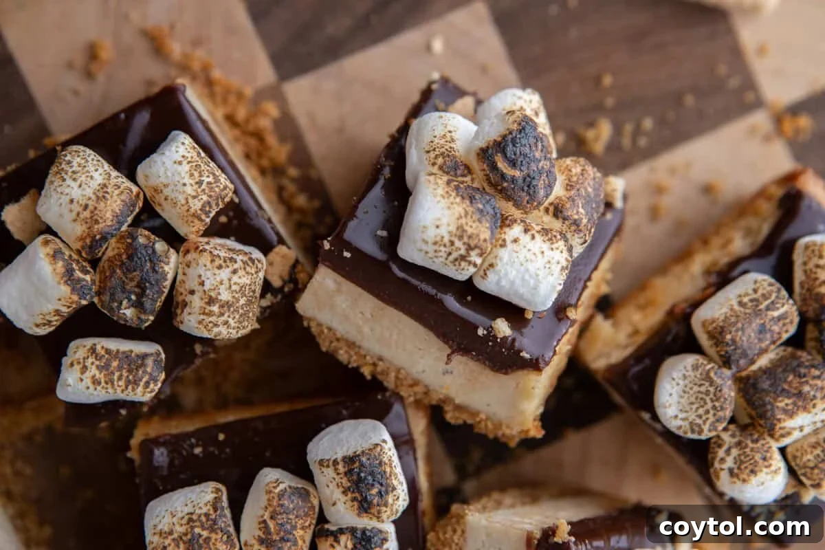 Three finished s'mores cheesecake bars from above with toasted mini marshmallows piled over chocolate ganache
