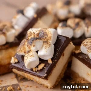 A single s'mores cheesecake bar topped with toasted mini marshmallows and crushed graham crackers on a wooden checkerboard board