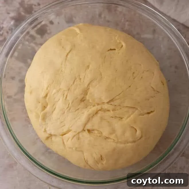 Brioche dough doubled in size in a glass bowl after the first rise