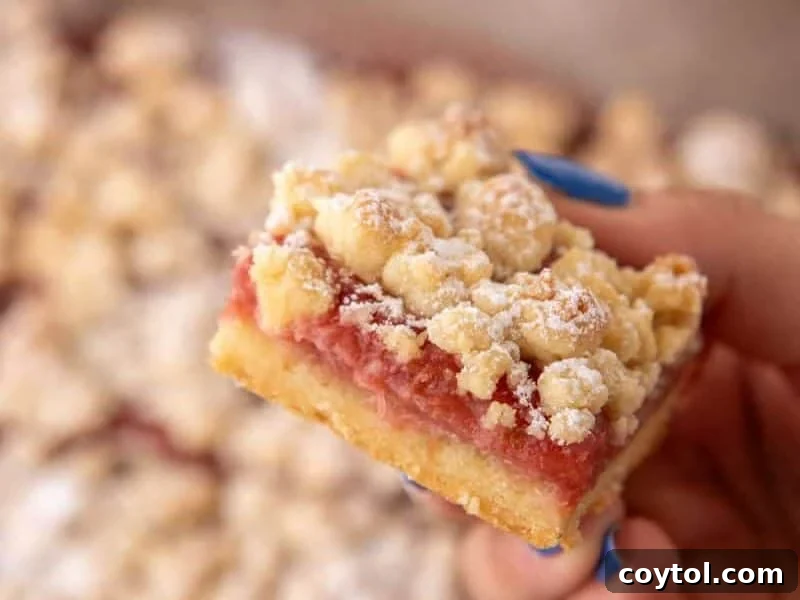 A hand with blue nails holding a single rhubarb crumble bar close up, showing the jammy filling and buttery crumble layers