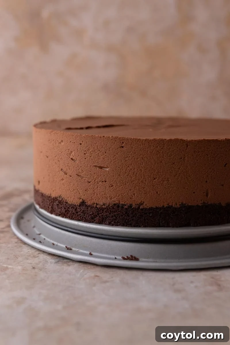 Unmolded chocolate mousse cake showing perfectly smooth sides from the acetate collar, with the dark cake layer visible at the base
