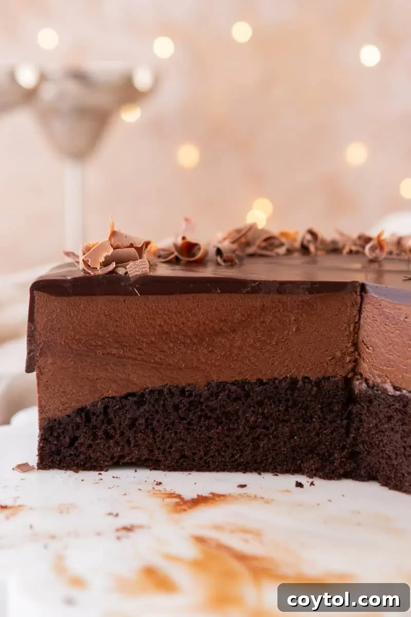 Close-up cross-section of chocolate mousse cake showing the dark chocolate sponge base, thick airy chocolate mousse middle layer, and glossy chocolate ganache top with chocolate curls