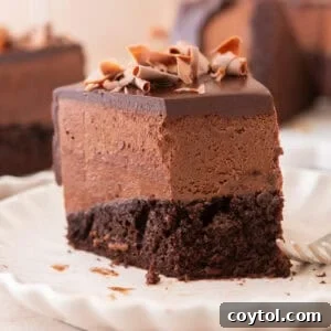 A tall slice of chocolate mousse cake on a white scalloped plate showing the moist chocolate sponge base, thick airy chocolate mousse layer, and glossy ganache topped with chocolate curls, with bokeh lights in the background