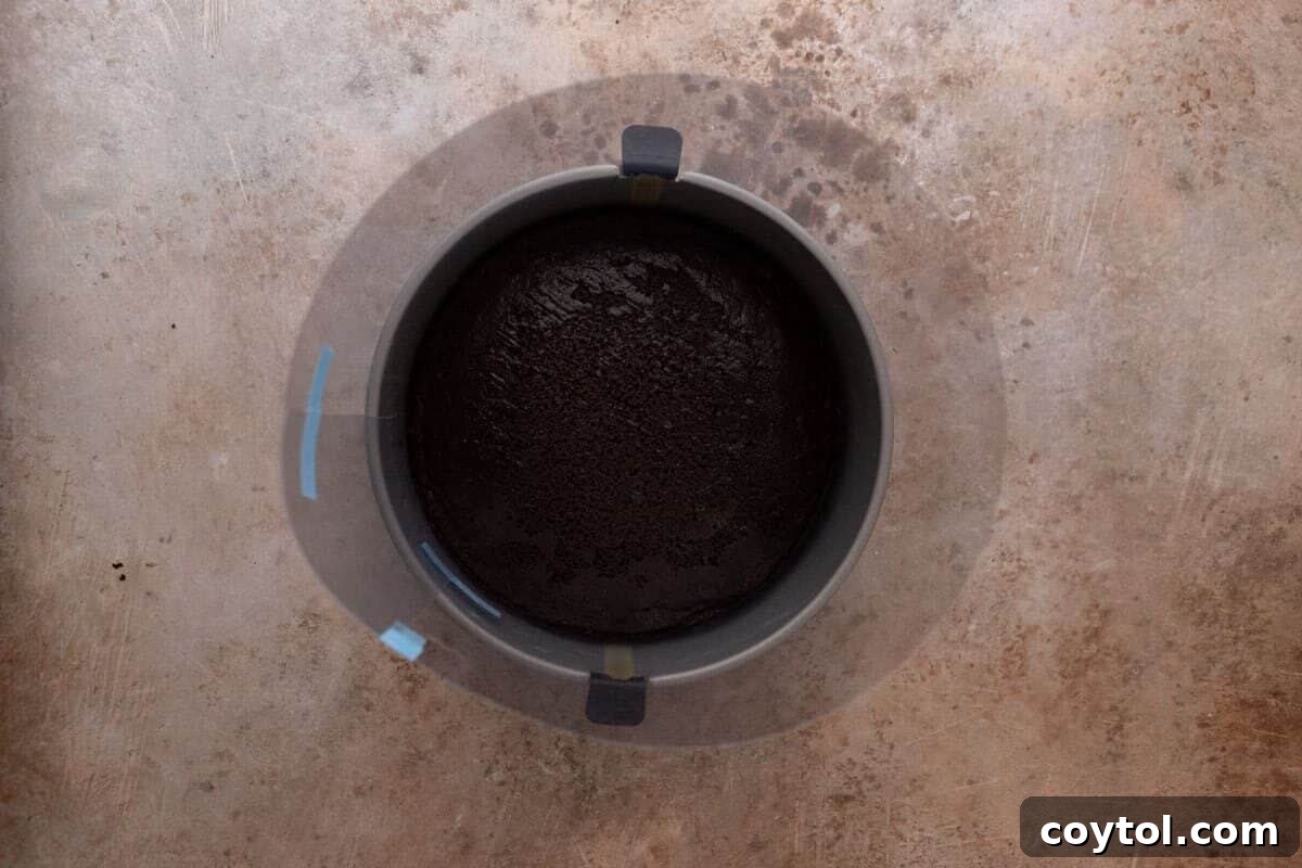 Cake layer in a springform pan lined with an acetate cake collar taped in place, ready for the mousse layer
