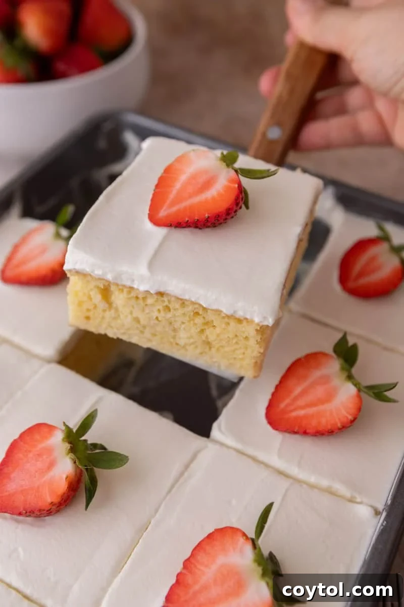 Slice of tres leches cake being lifted with a cake server from a full pan of frosted squares topped with strawberries