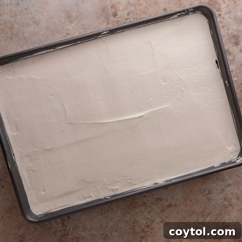 Whipped cream spread evenly over soaked tres leches cake in the pan