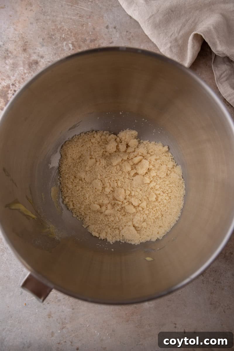 Flour, sugar, and butter mixed in a stand mixer bowl until the texture looks like wet sand.