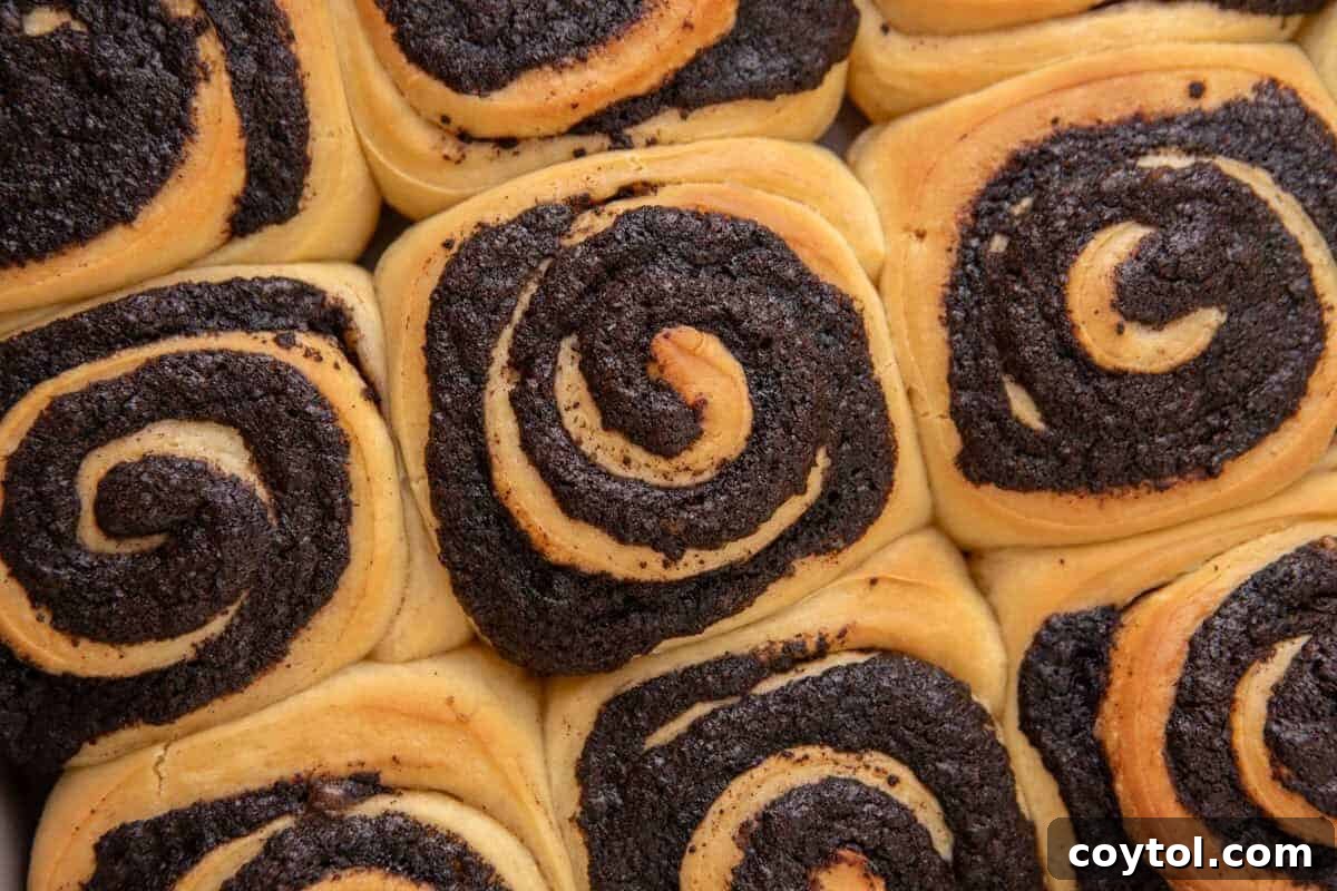 Baked Oreo cinnamon rolls with golden dough and dark Oreo filling swirls