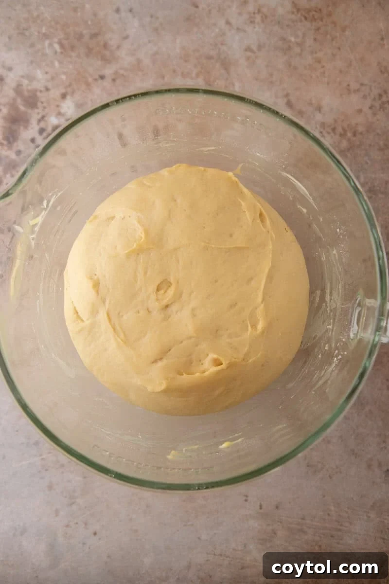 Brioche dough doubled in size after the first rise