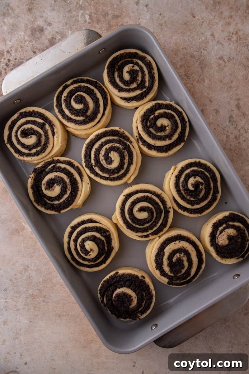 Unbaked rolls arranged in a baking pan before their second rise
