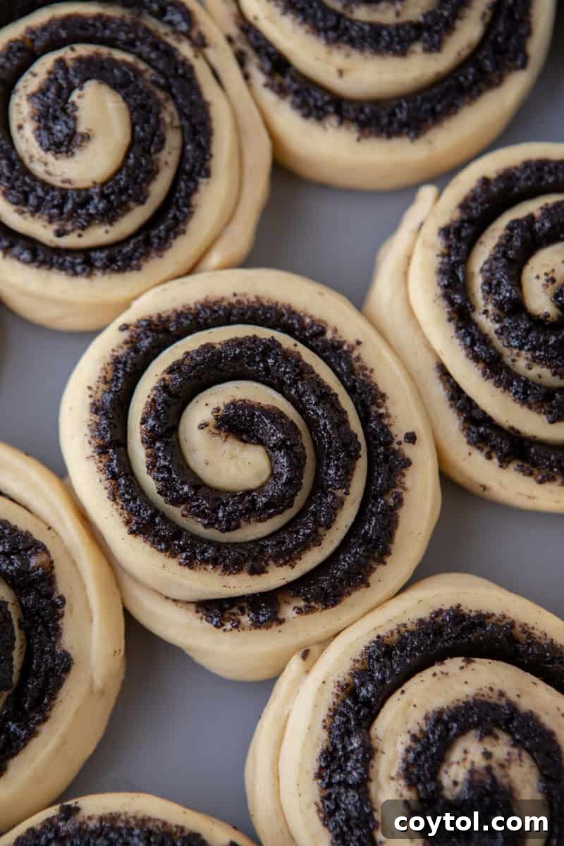 Close-up of Oreo cinnamon roll dough swirls before baking