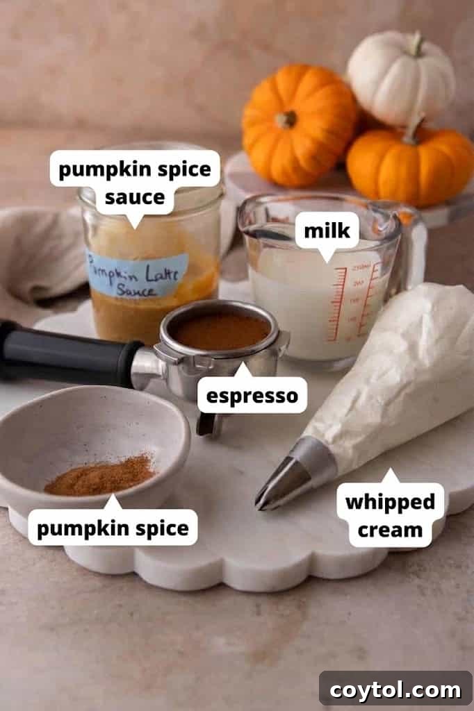 Labeled ingredients for a homemade pumpkin spice latte including pumpkin sauce, espresso, milk and spice.